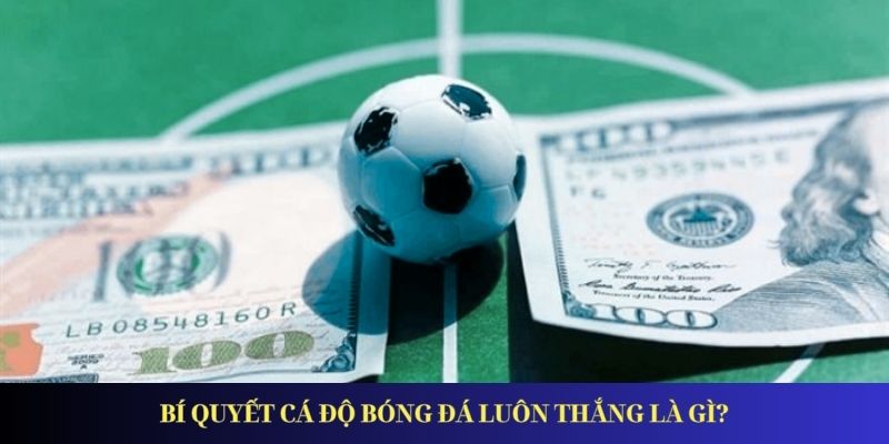 Cách Cá Độ Bóng Đá Chắc Thắng Từ Những Chuyên Gia Bí quyết cá độ bóng đá luôn thắng là gì?