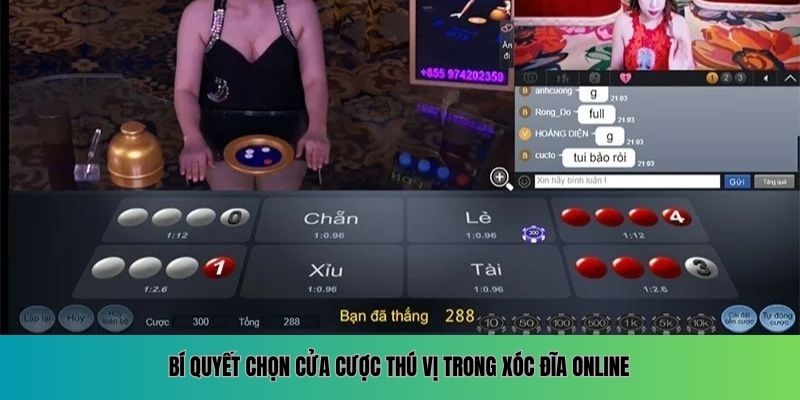 Xóc Đĩa Online – Trải Nghiệm Đỉnh Cao, Cơ Hội Thắng Lớn Bí quyết chọn cửa cược thú vị trong xóc đĩa online
