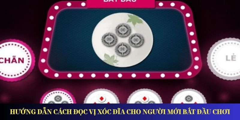 Hướng Dẫn Cách Đọc Vị Xóc Đĩa Chuẩn Xác Dành Cho Tân Thủ Hướng dẫn cách đọc vị xóc đĩa cho người mới bắt đầu chơi