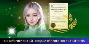 Soi Giấy Phép Nhà Cái – Cơ Quan Cấp Phép Cho Nhà Cái Uy Tín